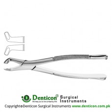 American Pattern Tooth Extracting Forcep Fig. 222 (For Lower Molars) Stainless Steel, Standard